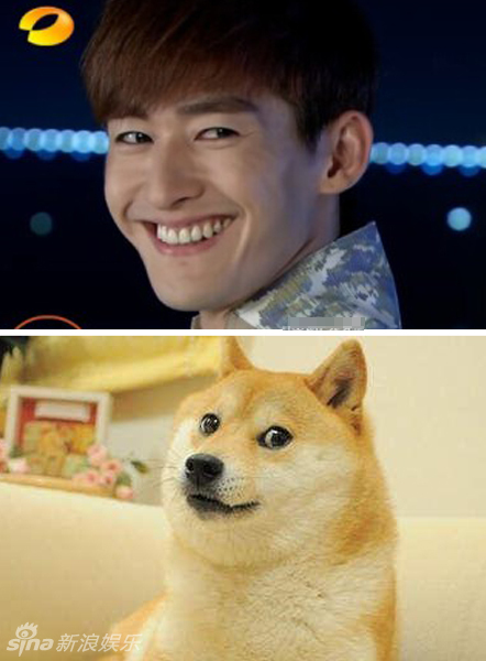 不小心就撞臉了！盤點(diǎn)動(dòng)物界的明星相