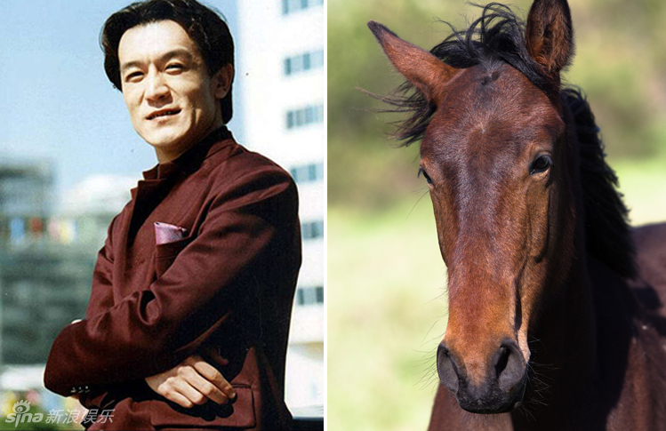 不小心就撞臉了！盤點(diǎn)動(dòng)物界的明星相