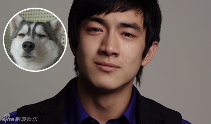 不小心就撞臉了！盤點(diǎn)動(dòng)物界的明星相