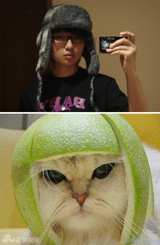 不小心就撞臉了！盤點(diǎn)動(dòng)物界的明星相