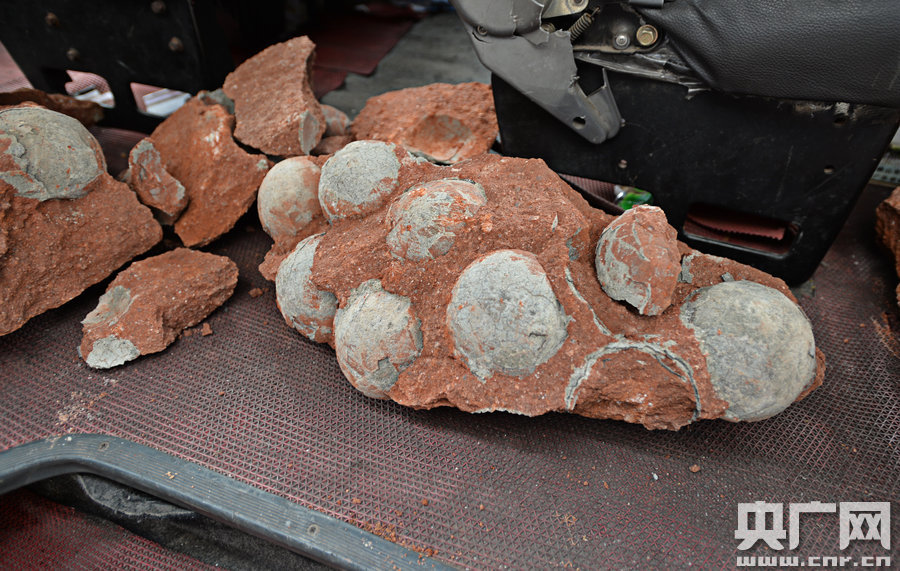 其中完整的19枚，都是直徑約13厘米的“大個子”。