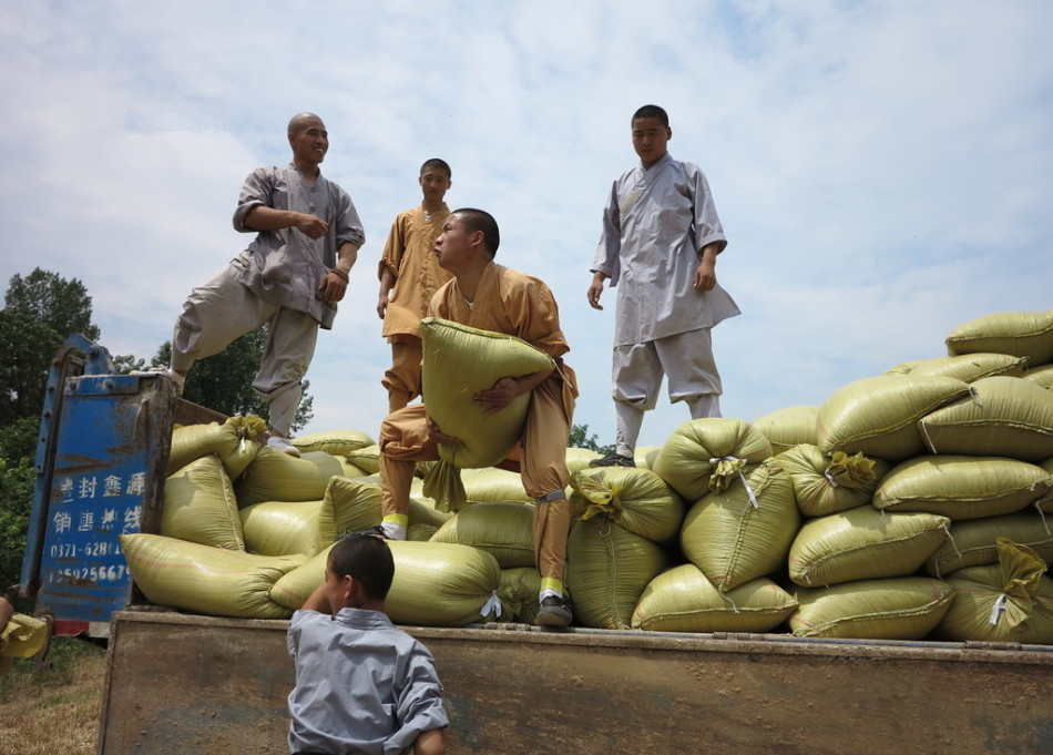 武僧將打包后的糧食集中至運輸車輛上。