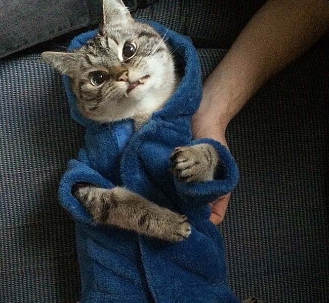 身穿浴袍的Loki好像看起來(lái)也沒那么兇哦。