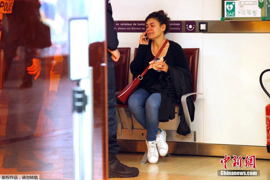 載66人埃航失聯(lián)客機墜毀 同線航班當晚照常起飛 載66人埃航失聯(lián)客機墜毀 同線航班當晚照常起飛