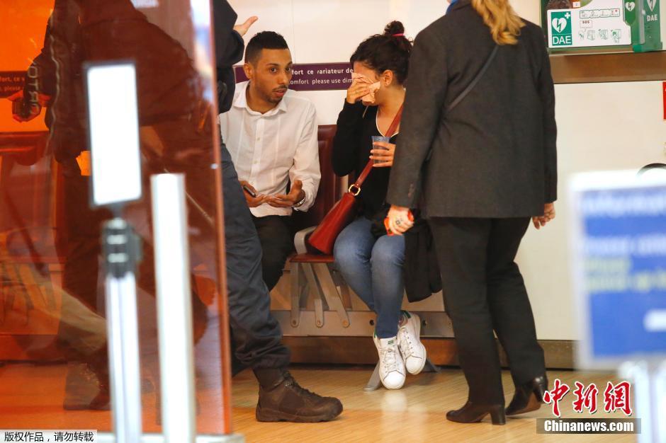 載66人埃航失聯(lián)客機墜毀 同線航班當晚照常起飛 載66人埃航失聯(lián)客機墜毀 同線航班當晚照常起飛