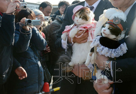 圖為粉絲們簇?fù)碇鞍⒂瘛闭鹃L(zhǎng)（右）。左側(cè)為其部下“二玉”。