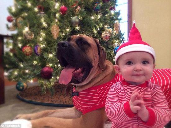 圖為美國2歲大的寵物犬與主人9個月大的女嬰。圖片來源：臉譜網(wǎng)站（Facebook）。