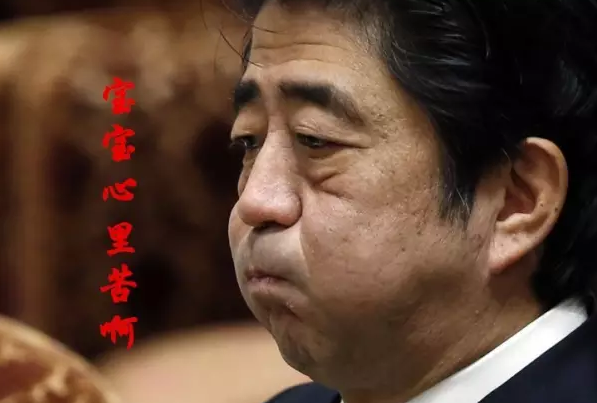 這種看安倍“熱鬧”的事兒，環(huán)環(huán)絕不私藏，一定雨露均沾!