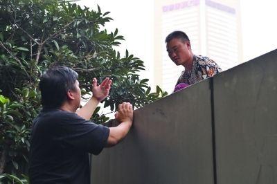 黃主任站在獨(dú)木樁上與男子交談了近半小時(shí)。