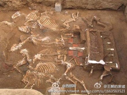 墓穴現(xiàn)場(chǎng) 墓穴現(xiàn)場(chǎng)