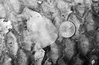 男子湖中釣起70斤大青魚 折騰2小時才把魚捕上船 男子湖中釣起70斤大青魚 折騰2小時才把魚捕上船