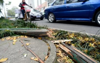 事發(fā)現(xiàn)場，嫌疑車輛撞壞的木樁。