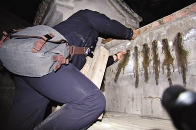 村民獵殺松鼠豹貓被刑拘 警方繳獲風(fēng)干毛皮22張 村民獵殺松鼠豹貓被刑拘 警方繳獲風(fēng)干毛皮22張