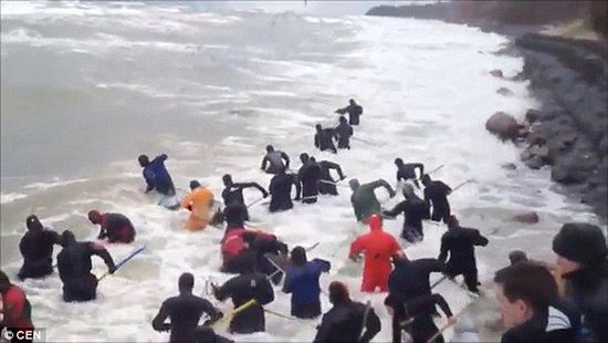 一場暴雨后，俄羅斯加里寧格勒Pionersky鎮(zhèn)，數(shù)十人潛入海水中搜尋琥珀。