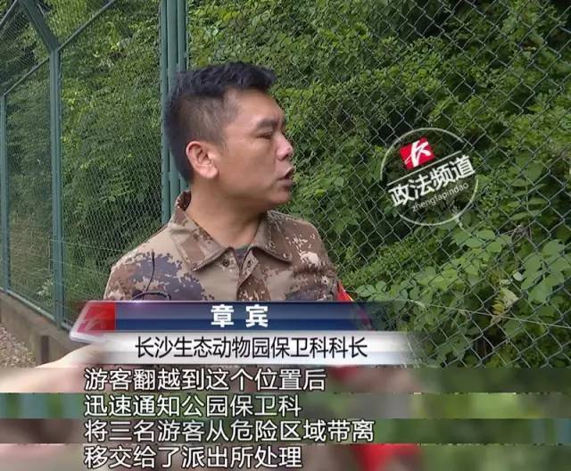 2女1男為逃票翻墻進(jìn)動物園 落地時(shí)周圍站了7只虎
