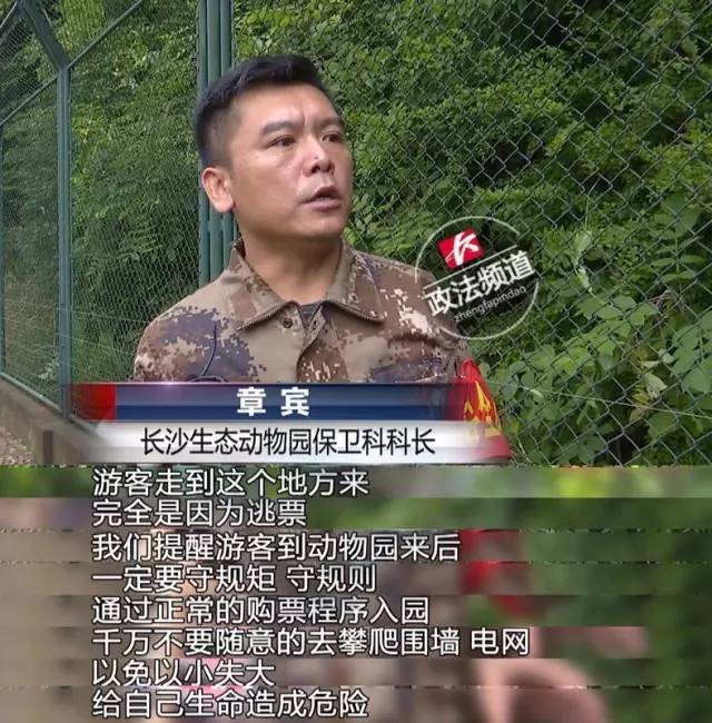 2女1男為逃票翻墻進(jìn)動物園 落地時(shí)周圍站了7只虎
