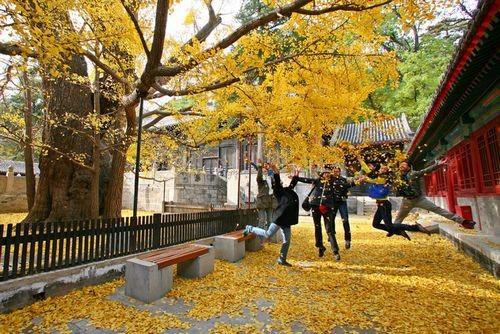 遠離低頭族 教你適當使用手機 遠離低頭族 教你適當使用手機