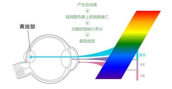 真能亮瞎眼？如何減少手機對眼睛的傷害