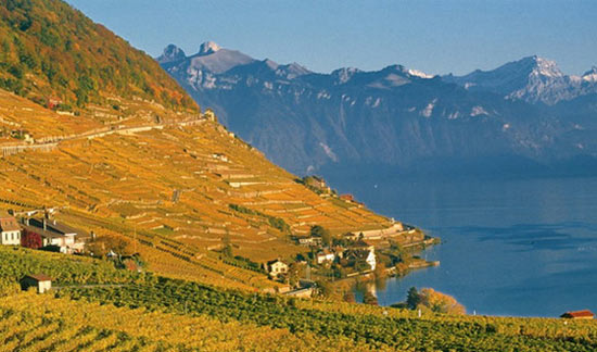 秋天的色彩之旅 尋找視覺(jué)上的饕餮盛宴