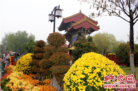 天好、花美 中國(guó)開(kāi)封第32屆菊花文化節(jié)延長(zhǎng)一周
