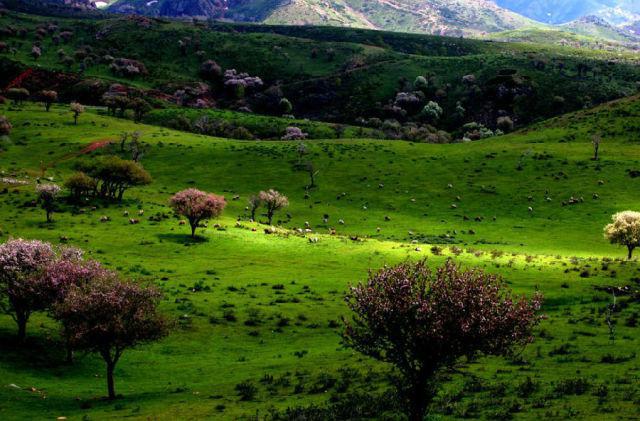 不用花錢的中國(guó)好景色 國(guó)內(nèi)8個(gè)處女風(fēng)景地 不用花錢的中國(guó)好景色 國(guó)內(nèi)8個(gè)處女風(fēng)景地