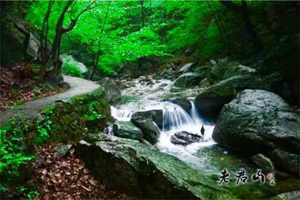 老君山第四屆中原車友狂歡節(jié) 激情房車派對 老君山第四屆中原車友狂歡節(jié) 激情房車派對