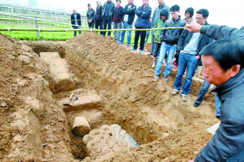 碑帽、赑屃、碑座、碑身依次排開