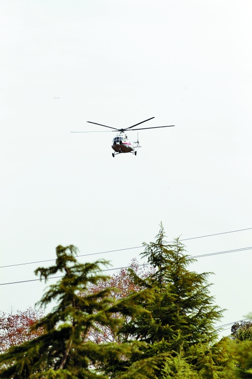 輕拋一點(diǎn)入云去，利眼“鐵鷹”掠地來