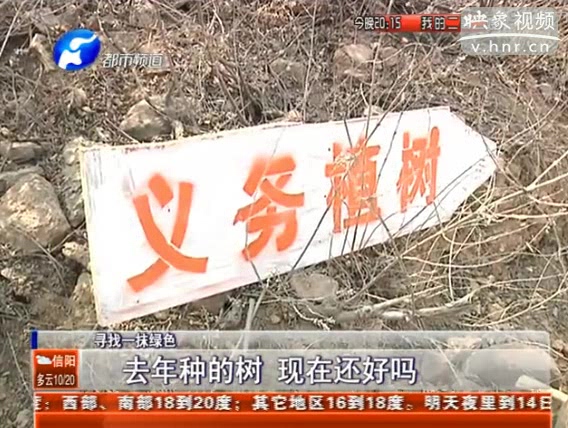 去年種的樹 現(xiàn)在還好嗎？