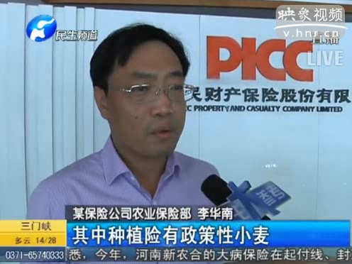 冰雹惹禍 損失能索賠嗎？