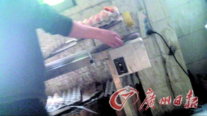 工作人員正在為“土雞蛋”噴日期碼。