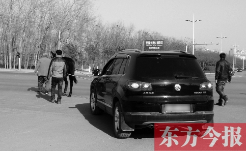 大眾越野車被指剎車不靈險(xiǎn)釀車禍 大眾越野車被指剎車不靈險(xiǎn)釀車禍