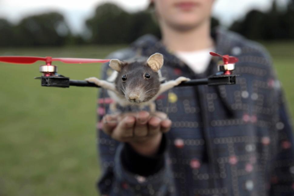 主人為紀(jì)念逝世愛寵將其制成特殊直升機(高清組圖)